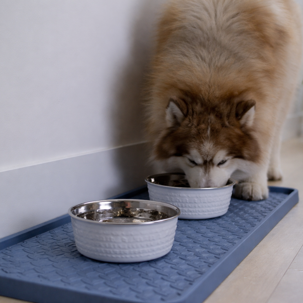 Dog drinking from a bowl on a blue boot tray in a home setting