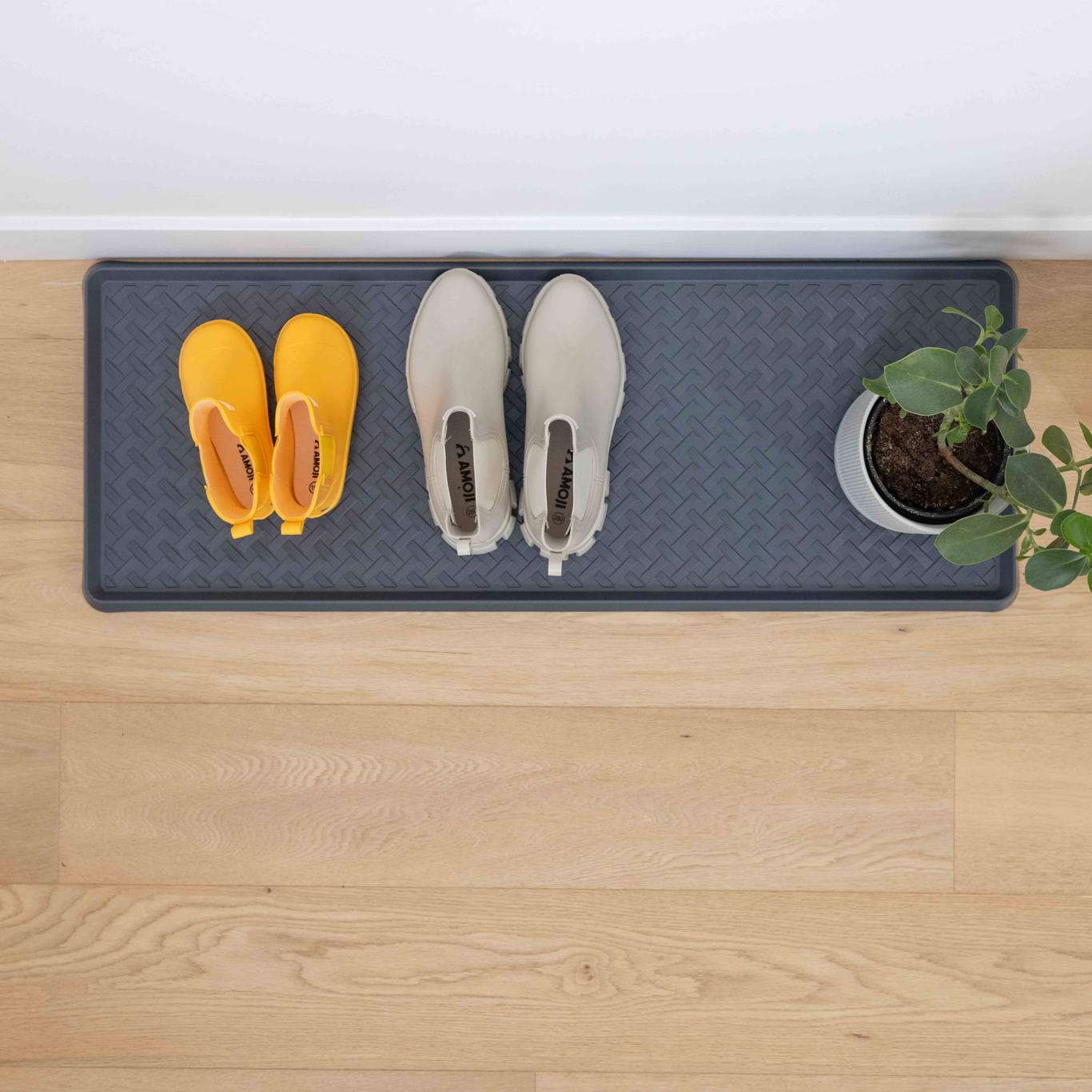 Shoes and a plant on a blue boot tray