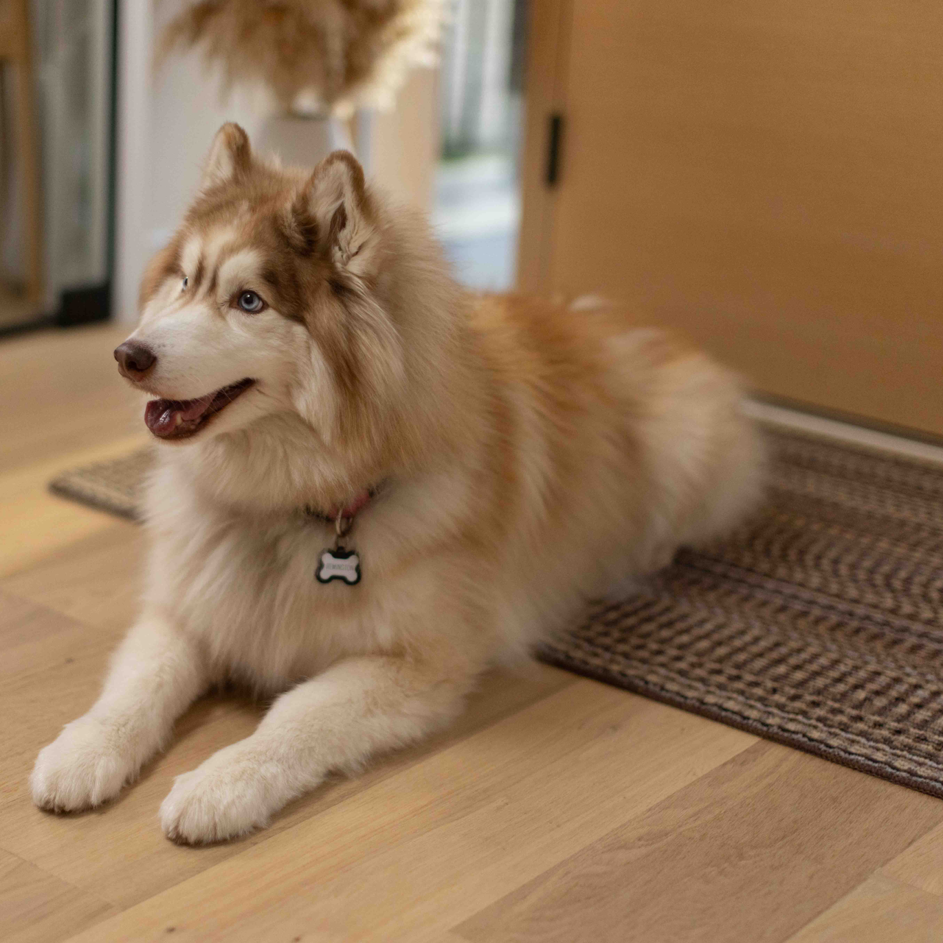 3'x4' Warwick Floormat