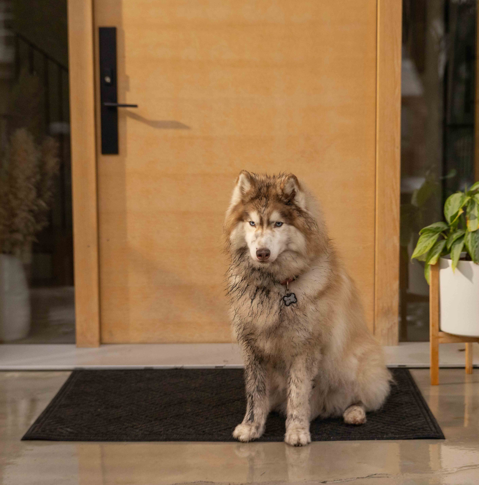 3'x4' Contours Parquet Door Mat